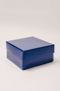plava kutija